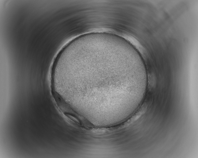 X0000093441046200711091450