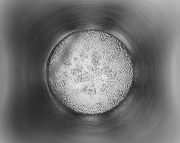 X0000093441047200711091450