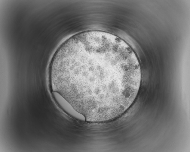 X0000093441048200711091450