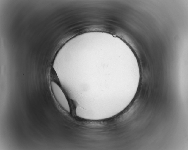 X0000093441049200711091450