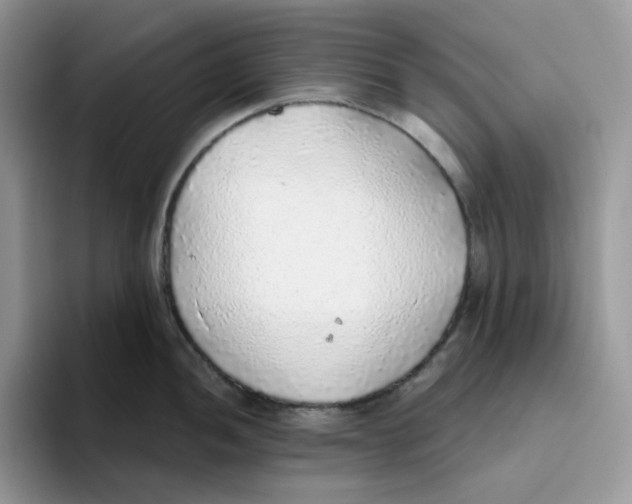 X0000093441052200711091450