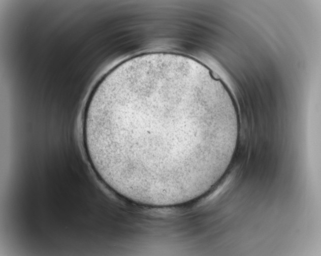 X0000093441053200711091450