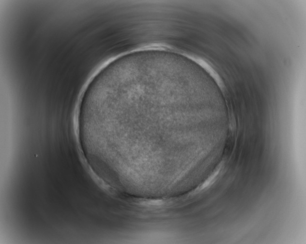 X0000093441054200711091450