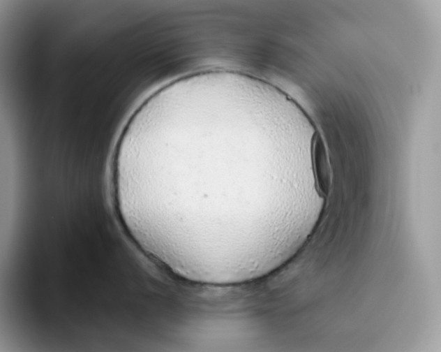 X0000093441056200711091450