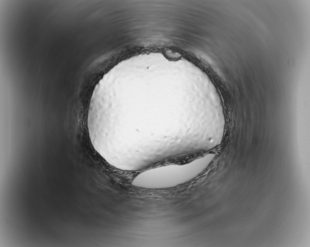 X0000093441063200711091450