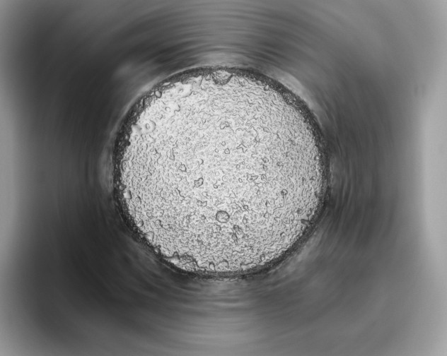 X0000093441067200711091450