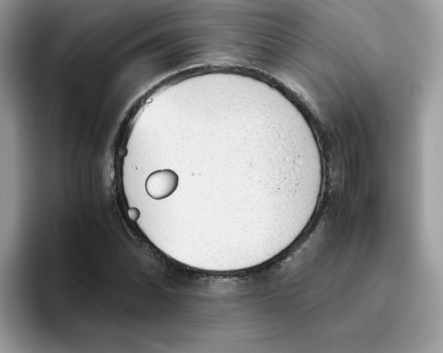 X0000093441070200711091450