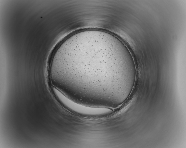 X0000093441077200711091450