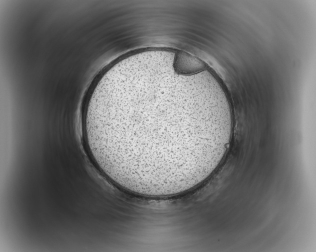 X0000093441080200711091450