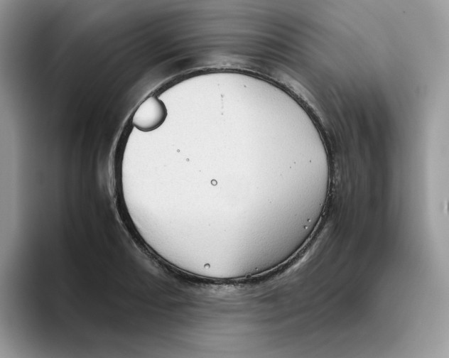 X0000093441082200711091450