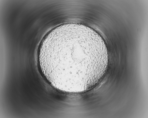 X0000093441083200711091450