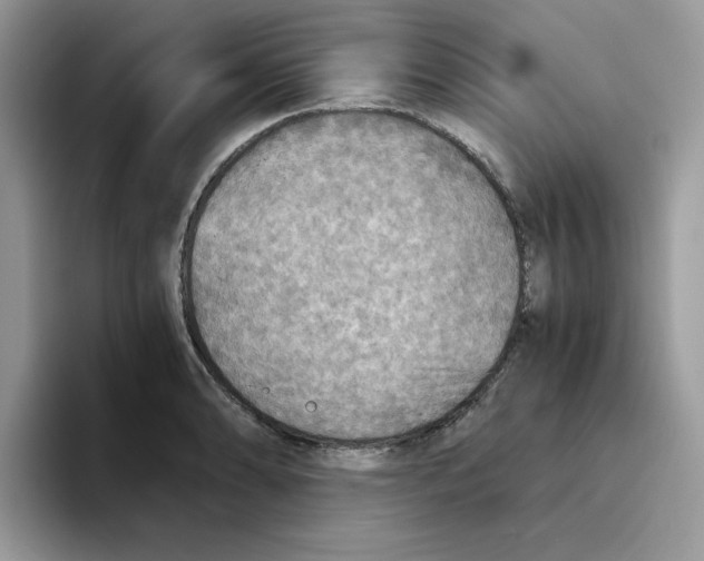 X0000093441086200711091450