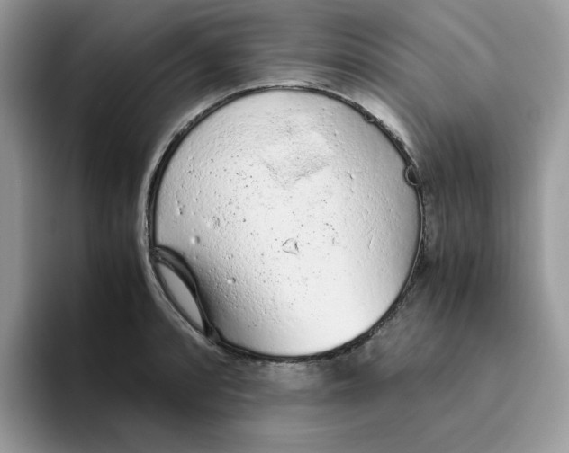 X0000093441088200711091450