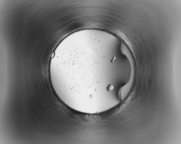 X0000093441089200711091450