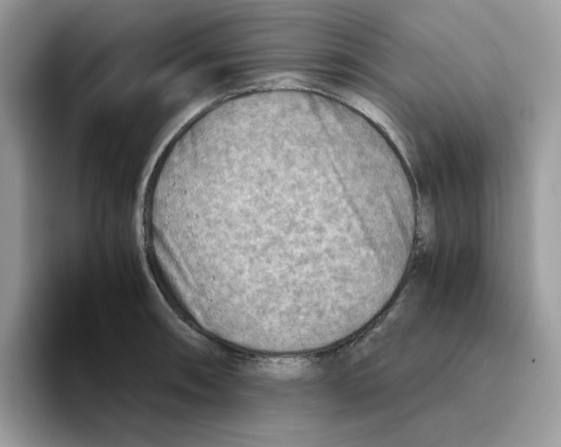 X0000093441090200711091449