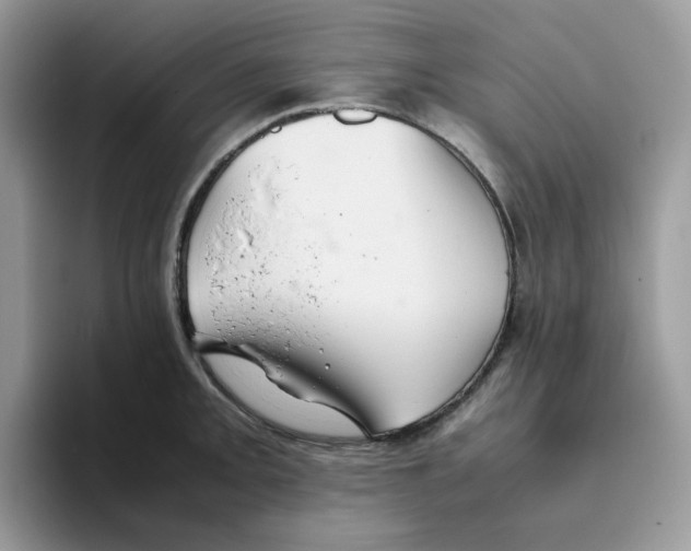 X0000093441093200711091449