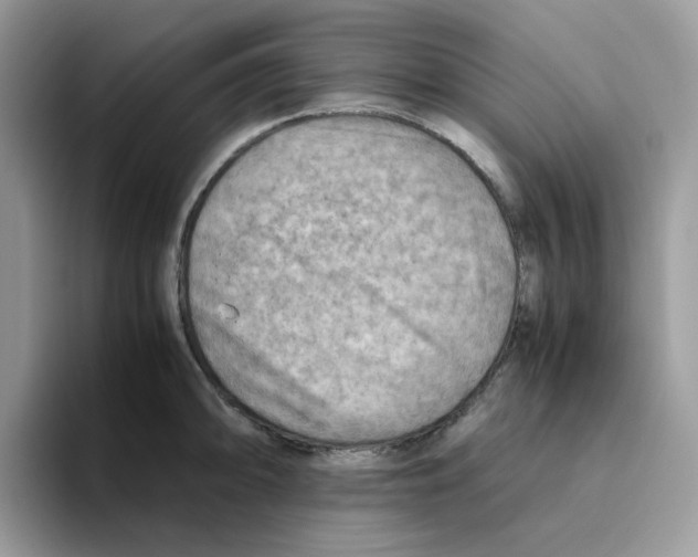 X0000093441094200711091449