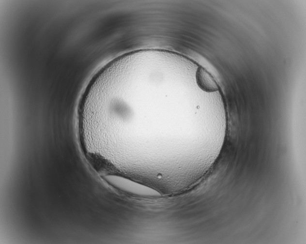 X0000093441096200711091449