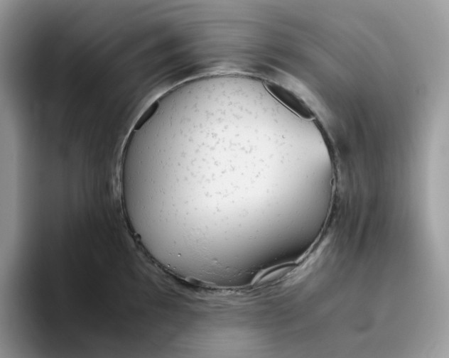 X0000093441097200711091449