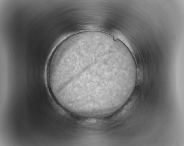 X0000093441098200711091449