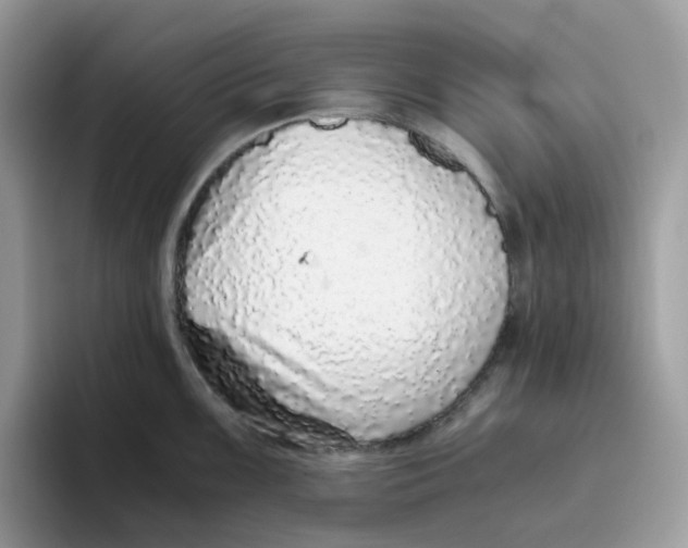 X0000093441099200711091449