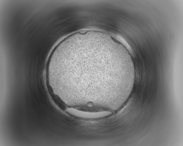 X0000093441100200711091449