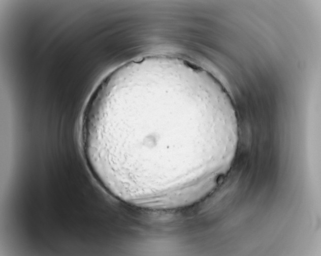 X0000093441103200711091449