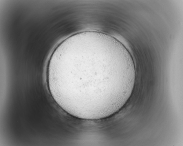 X0000093441104200711091449