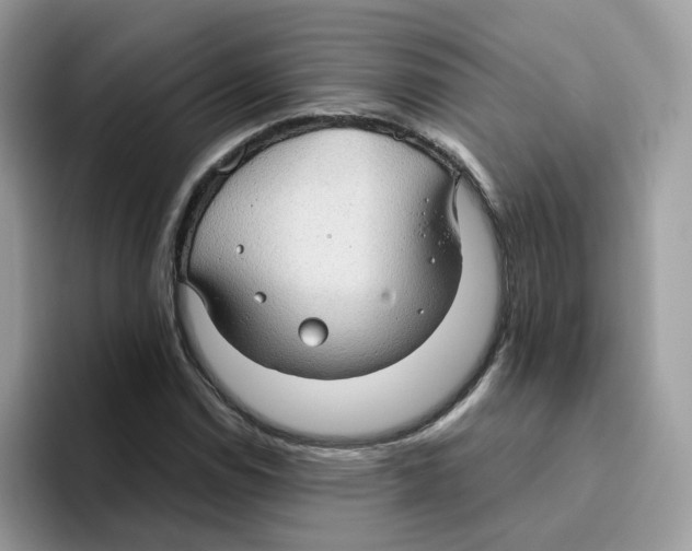 X0000093441114200711091449