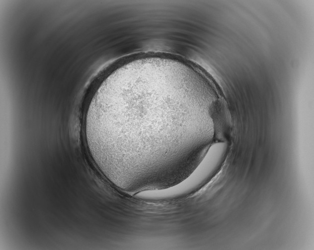 X0000093441115200711091449