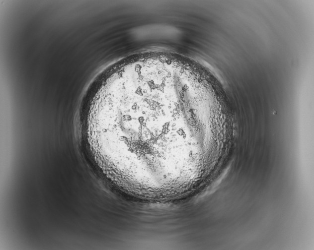 X0000093441117200711091449