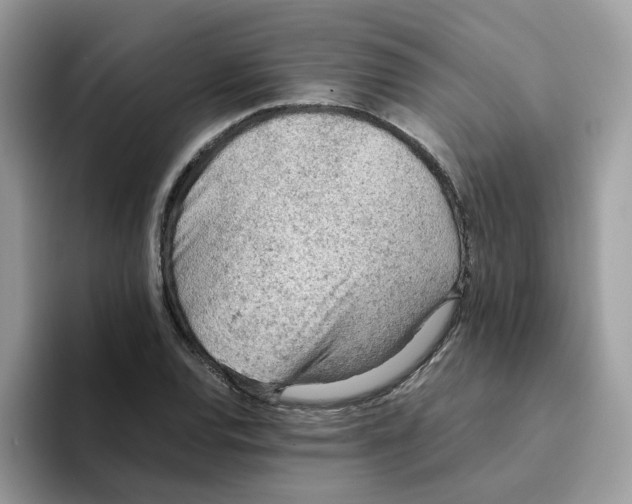 X0000093441120200711091449