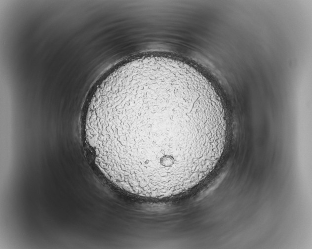 X0000093441121200711091449