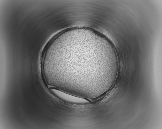 X0000093441124200711091449