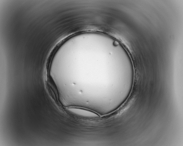 X0000093441125200711091449