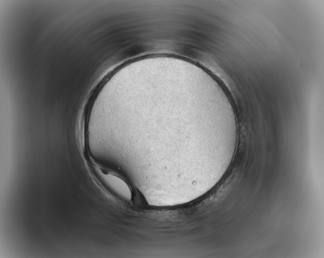 X0000093441127200711091449