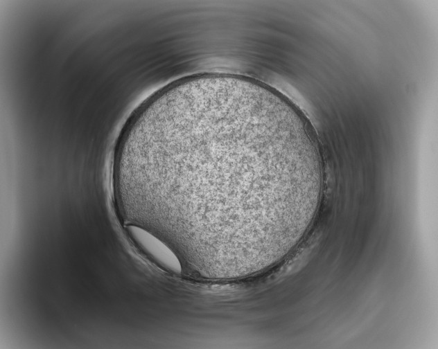 X0000093441128200711091449