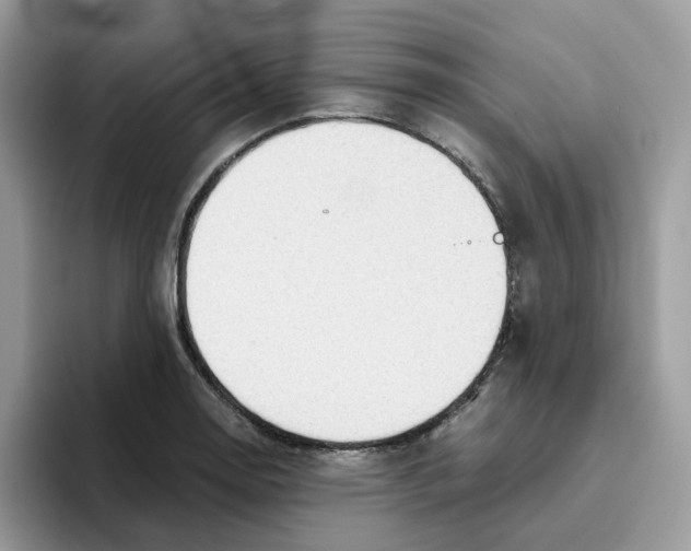 X0000093441130200711091449