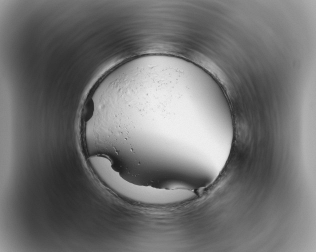 X0000093441138200711091449