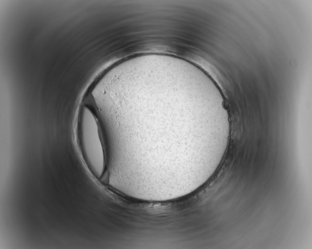 X0000093441139200711091449