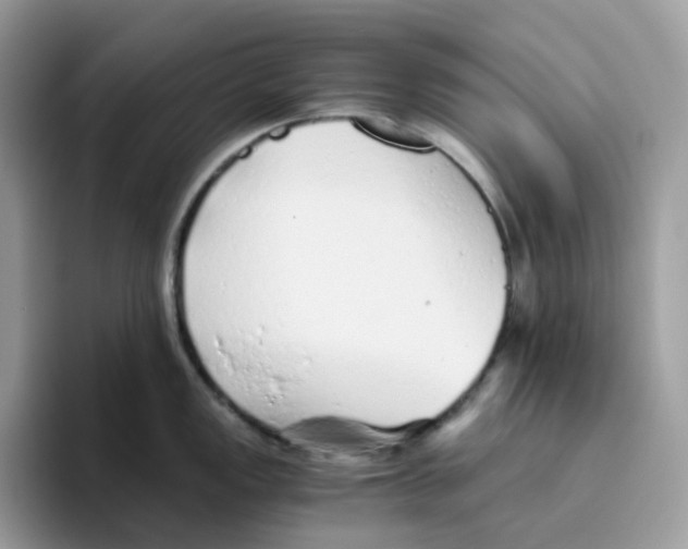 X0000093441149200711091449