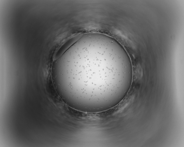 X0000093441157200711091449