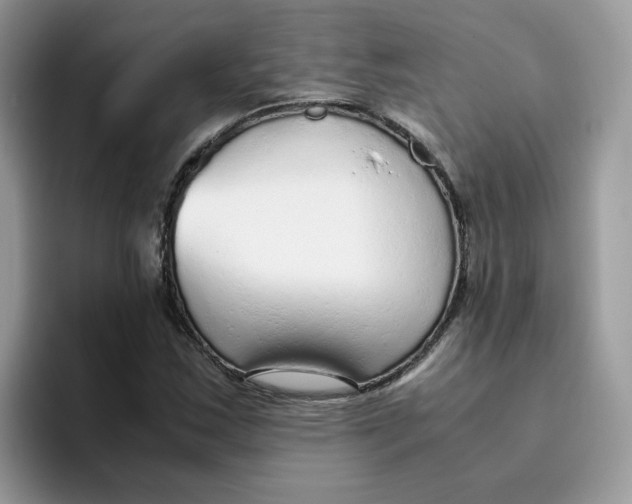 X0000093441163200711091449