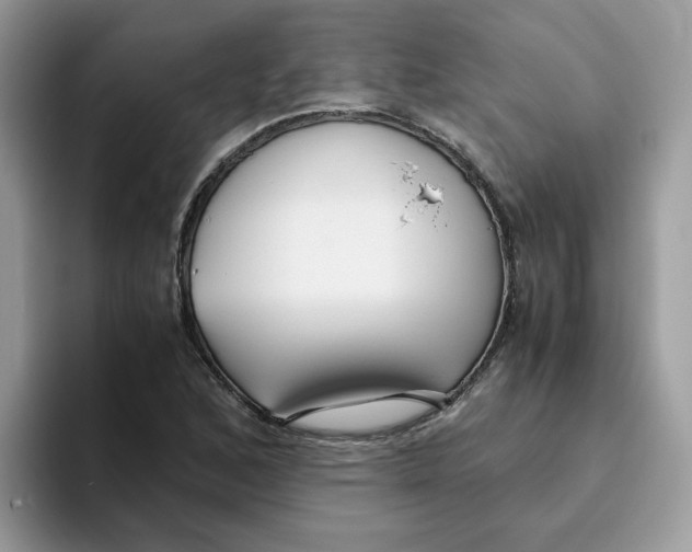 X0000093441168200711091449