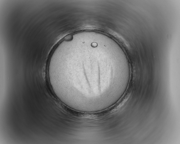 X0000093441170200711091449