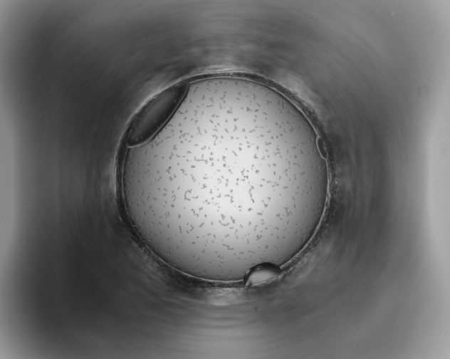 X0000093441173200711091449