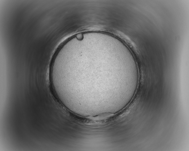 X0000093441174200711091449