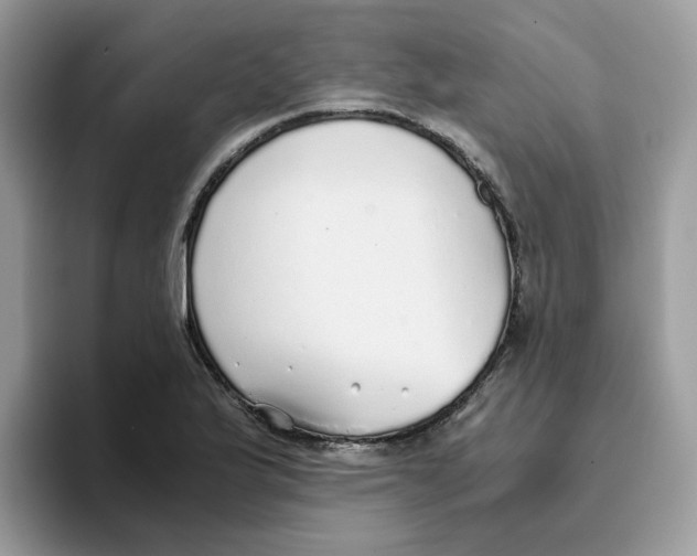 X0000093441175200711091449