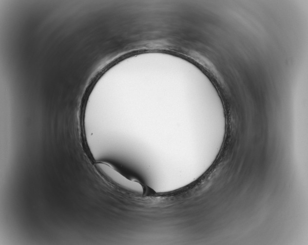 X0000093441176200711091448