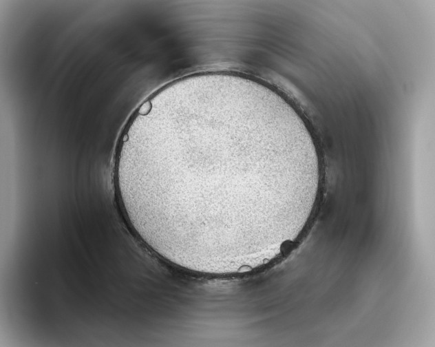 X0000093441178200711091448